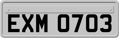 EXM0703