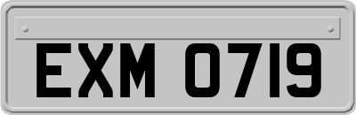 EXM0719