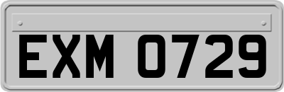 EXM0729
