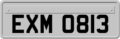 EXM0813