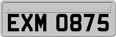 EXM0875