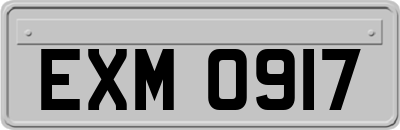EXM0917
