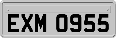EXM0955