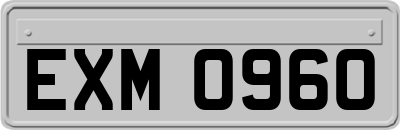 EXM0960