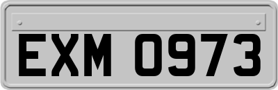 EXM0973