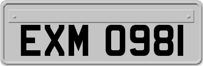 EXM0981