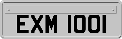 EXM1001