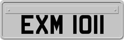 EXM1011