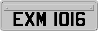 EXM1016