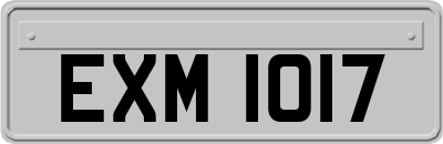 EXM1017