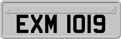 EXM1019