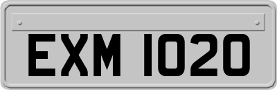 EXM1020