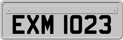 EXM1023
