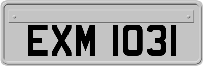 EXM1031