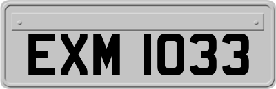 EXM1033