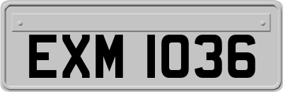 EXM1036