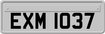 EXM1037
