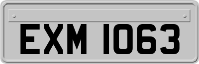 EXM1063