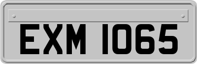 EXM1065