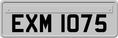 EXM1075
