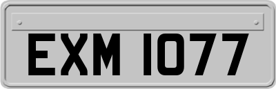 EXM1077