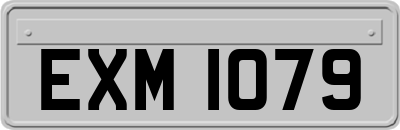 EXM1079