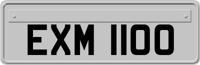 EXM1100