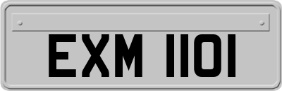 EXM1101