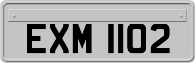 EXM1102