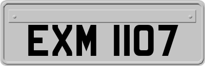 EXM1107