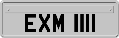EXM1111
