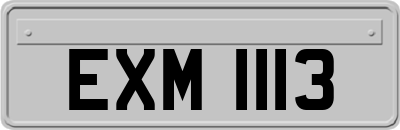 EXM1113