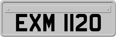 EXM1120