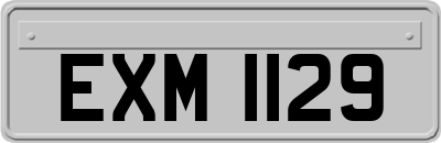 EXM1129