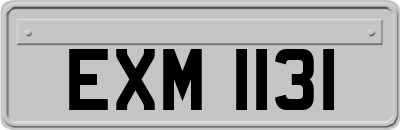 EXM1131
