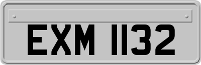EXM1132