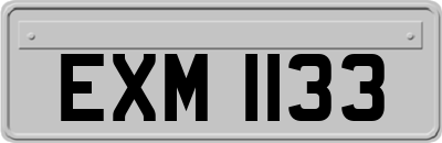 EXM1133