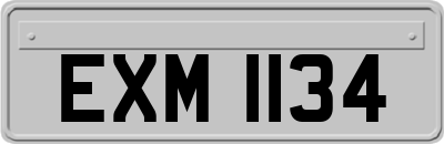 EXM1134
