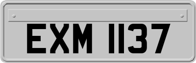 EXM1137