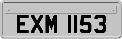 EXM1153