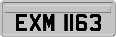 EXM1163