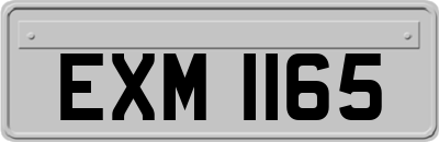 EXM1165