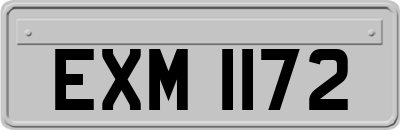 EXM1172
