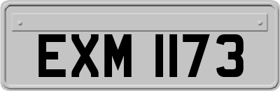 EXM1173