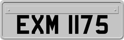 EXM1175