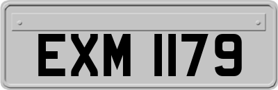EXM1179