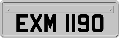 EXM1190