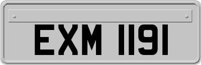 EXM1191