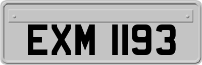 EXM1193