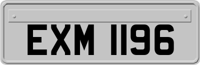EXM1196